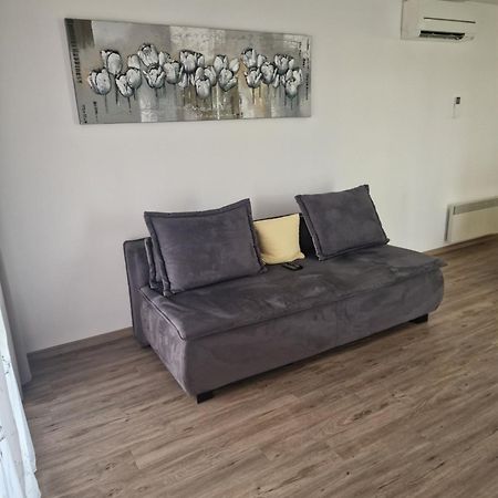 Family Apartment Moravske-Toplice Dış mekan fotoğraf