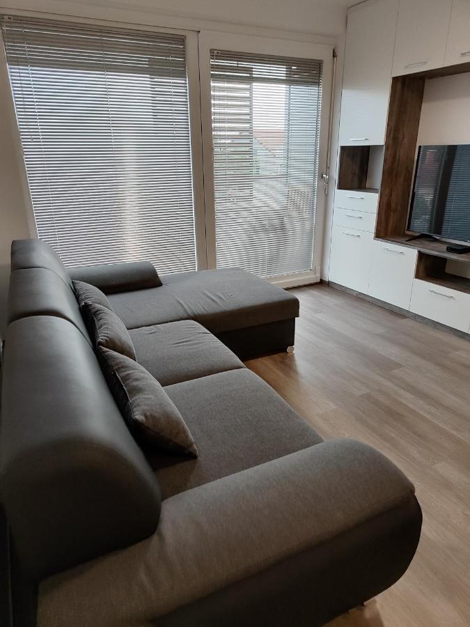 Family Apartment Moravske-Toplice Dış mekan fotoğraf