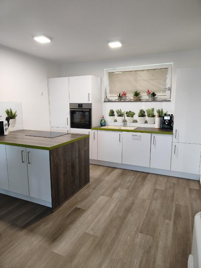Family Apartment Moravske-Toplice Dış mekan fotoğraf