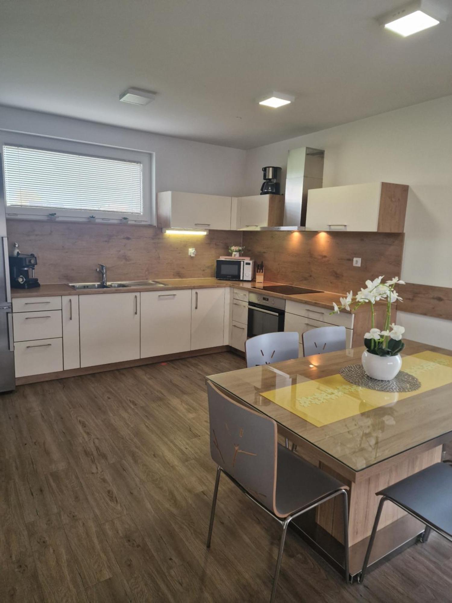 Family Apartment Moravske-Toplice Dış mekan fotoğraf