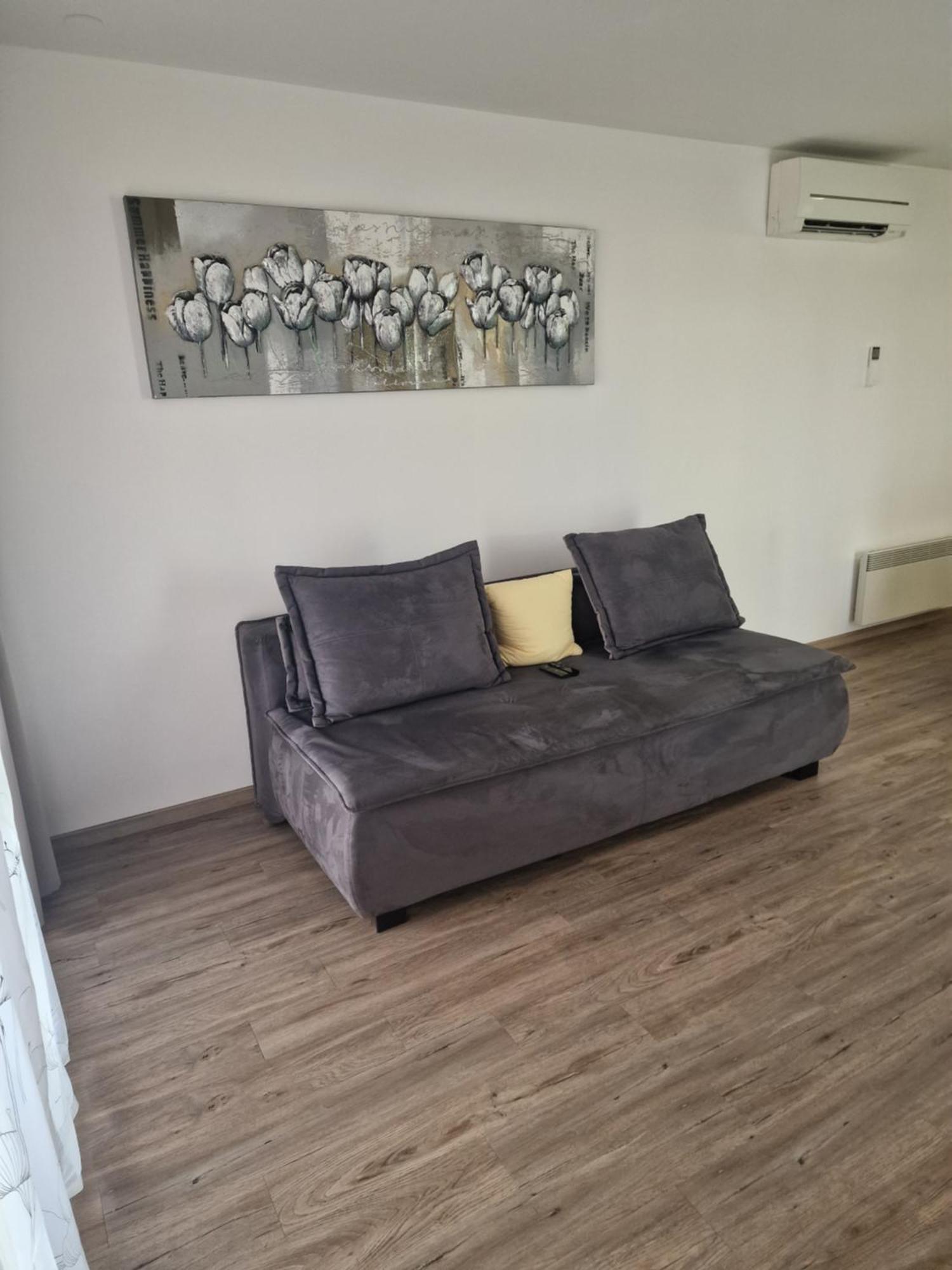 Family Apartment Moravske-Toplice Dış mekan fotoğraf