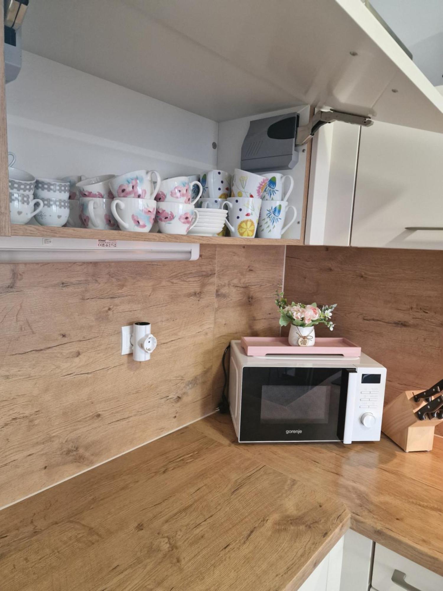 Family Apartment Moravske-Toplice Dış mekan fotoğraf