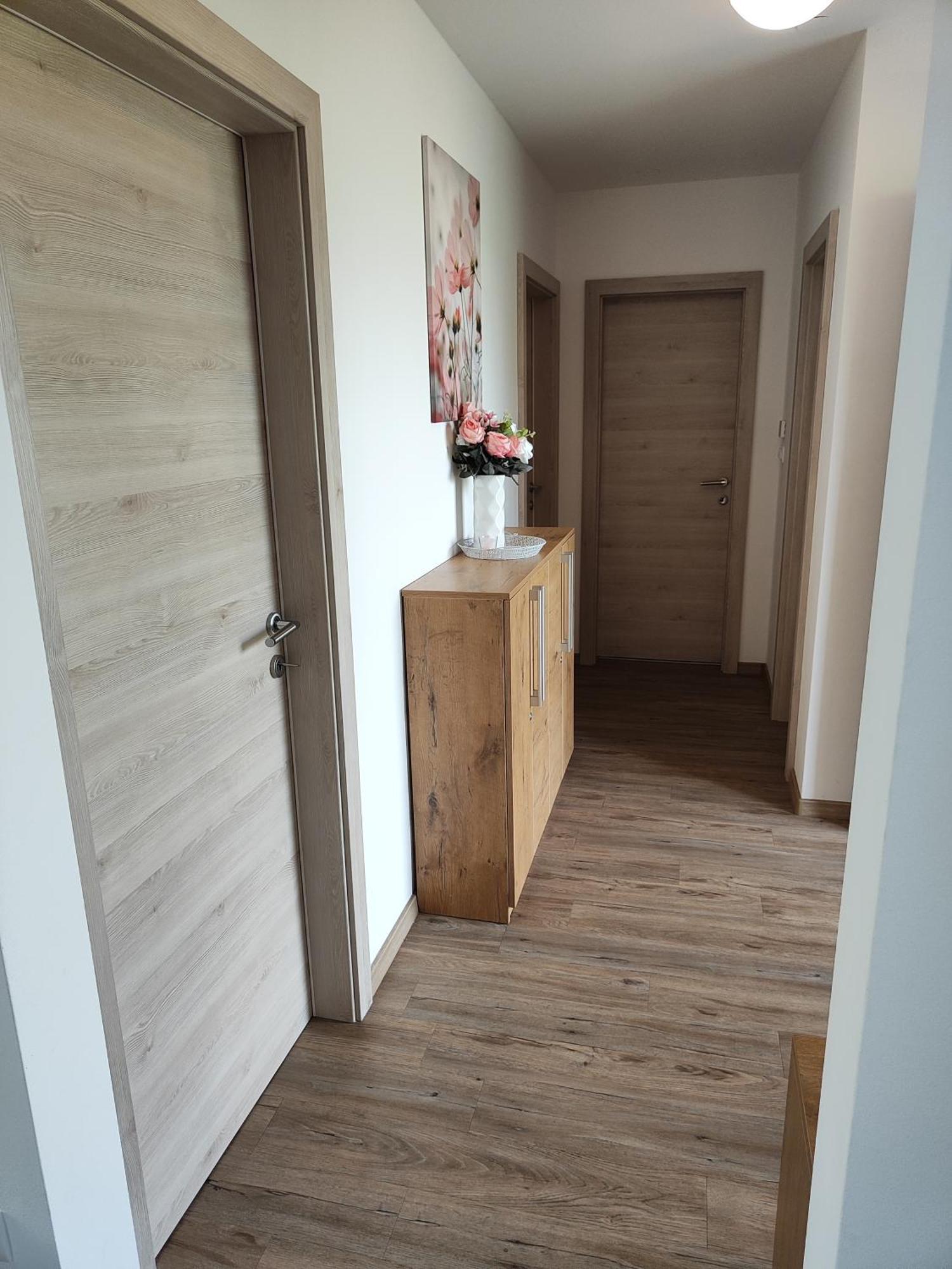 Family Apartment Moravske-Toplice Dış mekan fotoğraf