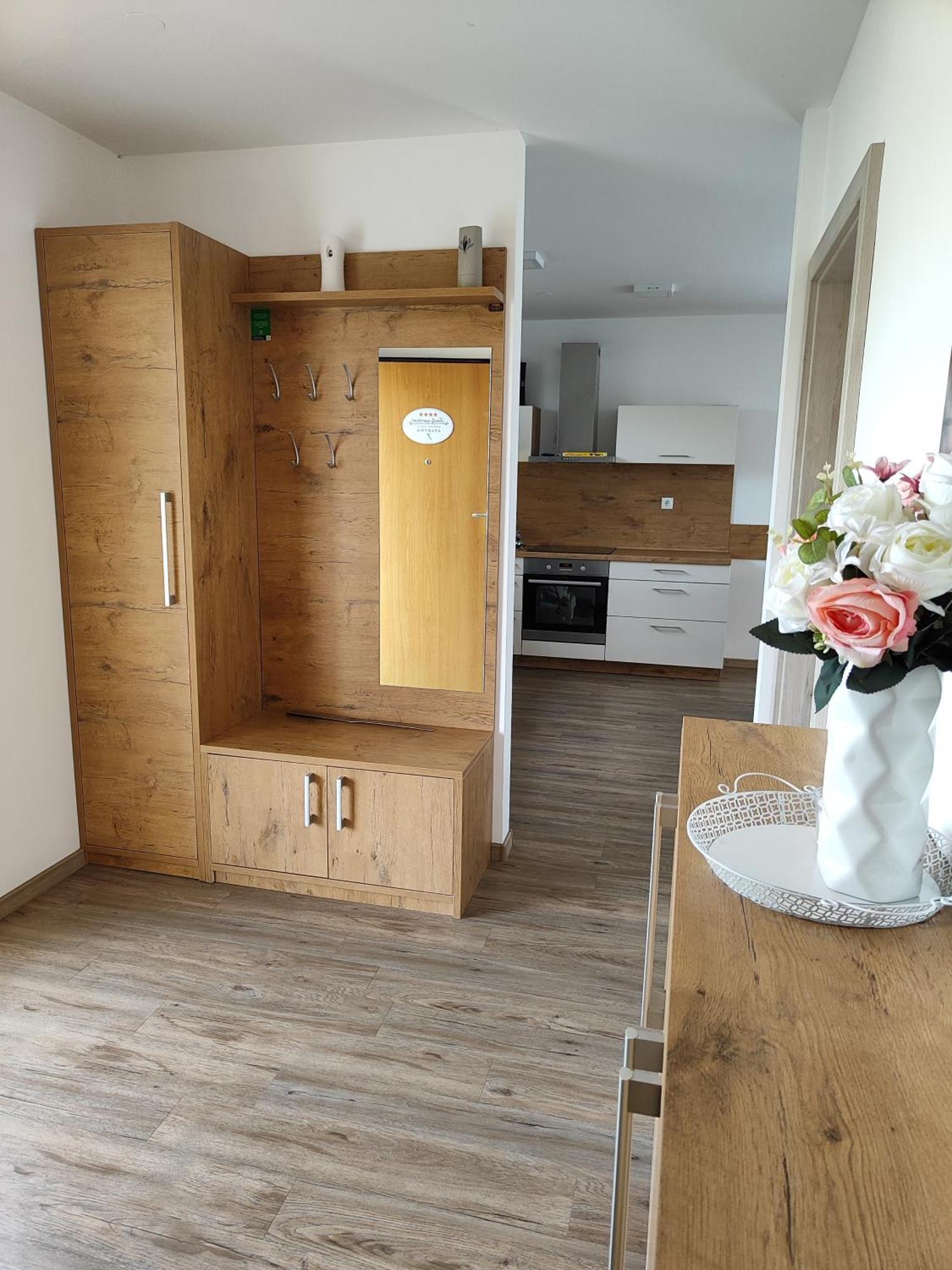 Family Apartment Moravske-Toplice Dış mekan fotoğraf