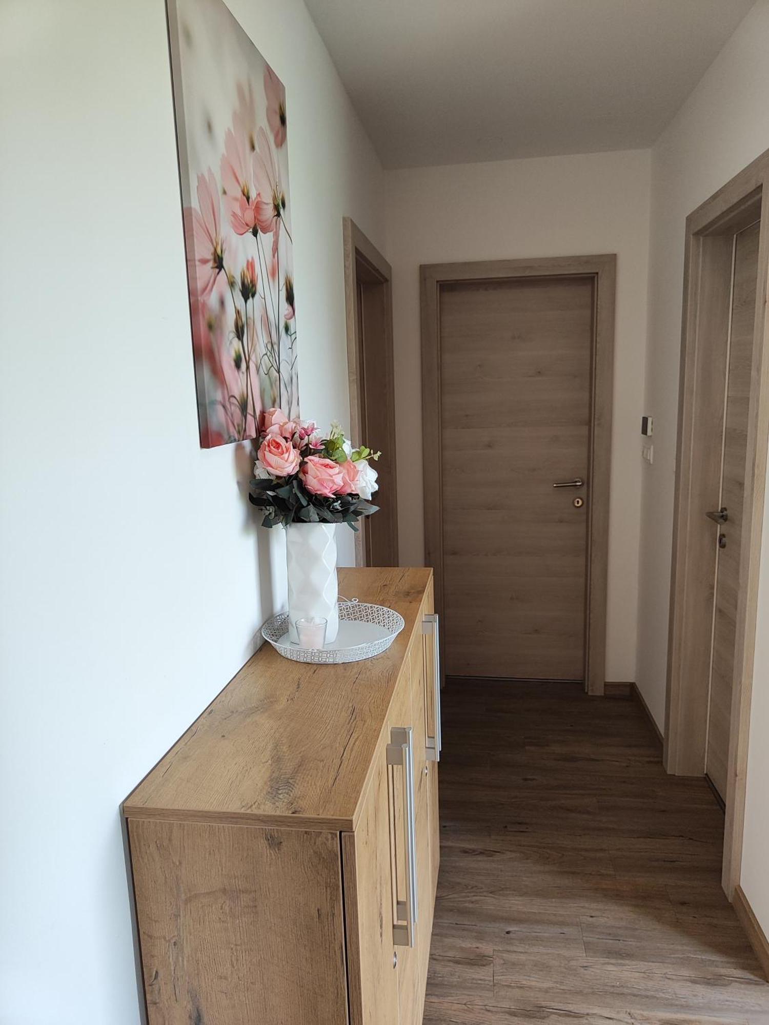 Family Apartment Moravske-Toplice Dış mekan fotoğraf