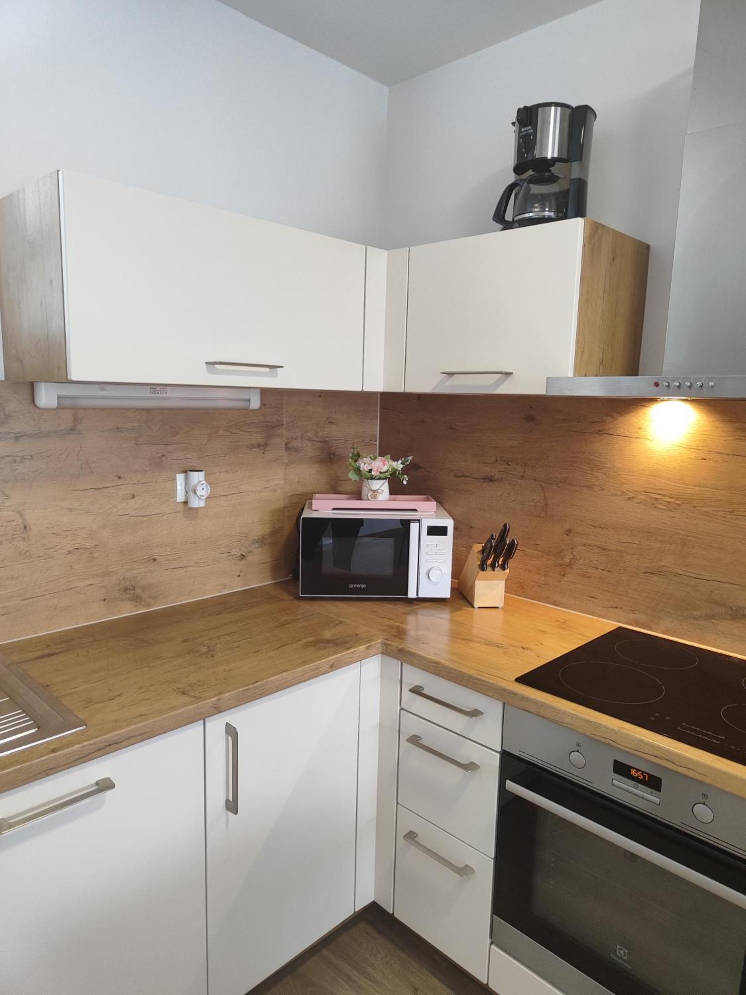 Family Apartment Moravske-Toplice Dış mekan fotoğraf