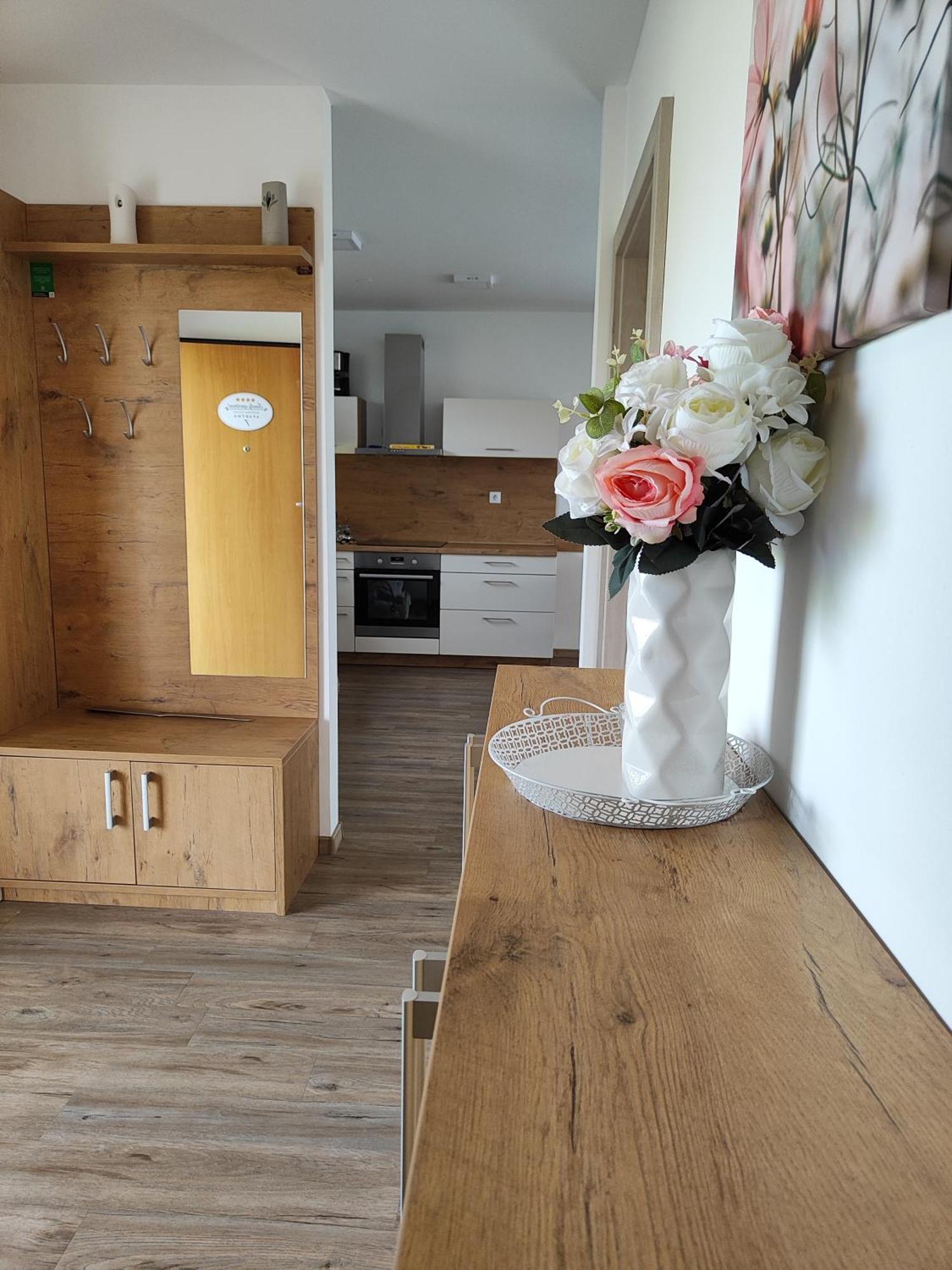 Family Apartment Moravske-Toplice Dış mekan fotoğraf