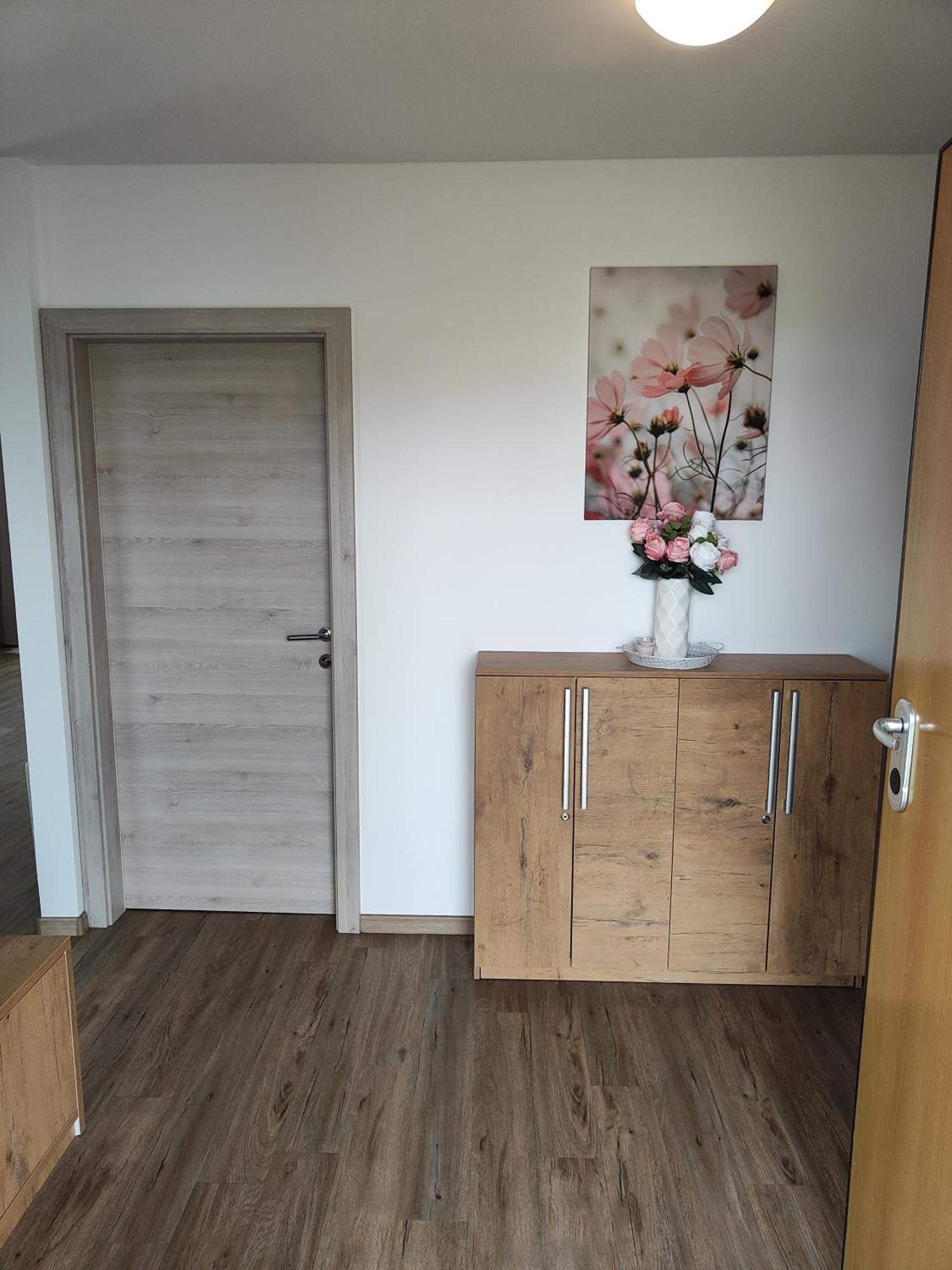 Family Apartment Moravske-Toplice Dış mekan fotoğraf